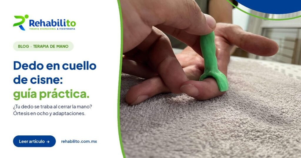 Portada del artículo dedo en cuello de cisne: guía práctica, RehabiliTO