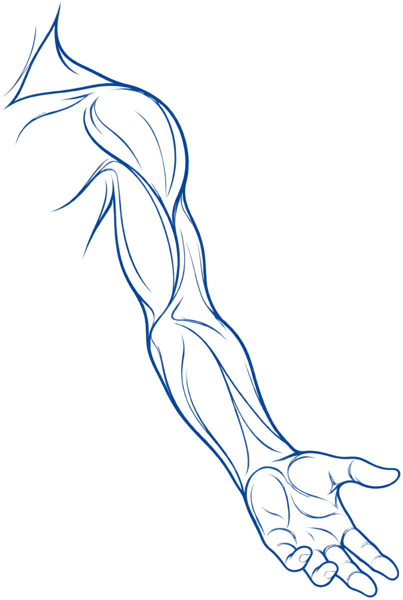 Ilustración azul de línea de un brazo completo con el hombro, terapia de hombro en CDMX