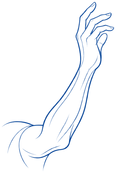 Ilustración azul de línea de un brazo con el codo flexionado y la mano arriba, terapia de codo en CDMX