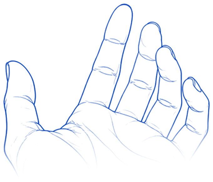Ilustración azul de línea de una mano abierta, terapia de mano y dedos en CDMX