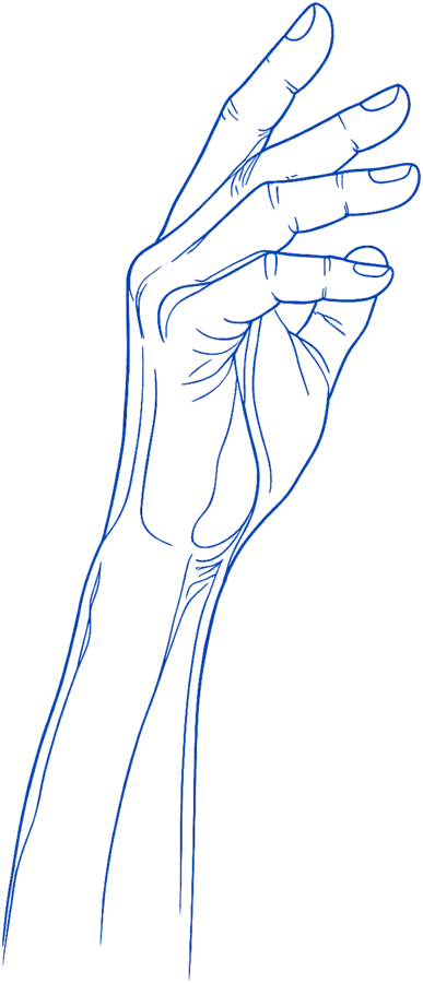 Ilustración azul de línea de una mano y antebrazo